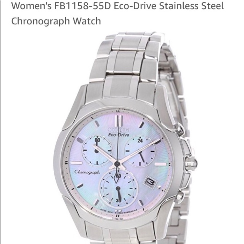 Citizen Stainless Steel Eco-Drive Watch